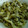 El cooksnap de MaryGlory cuando hizo Salteado de brócoli y gulas.