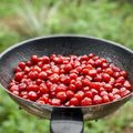 Cooksnap của Rose Truong khi họ làm theo món Mứt chùm ruột