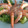 El cooksnap de Ainoa Doñas cuando hizo Cocktail de gambas.