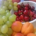 صورة من fatima recipes ، شاركها بعد تجربة وصفة تشكيلة فواكه ع كيفكن
