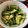 patsy ho 的 蒜蓉拍青瓜 cooksnap