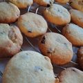 Cooksnap de Arielrst sur la recette Cookies chocolat et noix de pécan