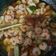 Cooksnap dari Novi Yunita Sari untuk resep Tumis Udang Simple