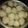 Cooksnap dari Susan Wichaksono untuk resep Bakso Sapi (Daging Giling)