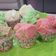 Cooksnap dari Ajenk Lexie Then untuk resep Bolu kukus mekar