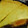 El cooksnap de Erica Salvo cuando hizo Tarta de atún (masa casera).