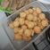 Cooksnap dari Winda untuk resep Pempek adaan dan kuah cuko (resep NCC)