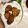 jvtran96's cooksnap of when they made L's Easy Schnitzel.
