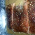 steve.allarid's cooksnap of when they made Citrus Cajun Salmon.