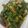 Cookingwithseki 's cooksnap of when they made Edikang Ikong (Edikaikong Soup).