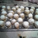 loka.vader's cooksnap of when they made Snowball Cookies.
