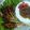 Cooksnap dari Kezia Jovindra untuk resep Sate Jamur Bumbu Kacang
