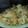 Cooksnap dari annisarisanty untuk resep brokoli putih crispy