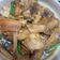 賴小孟 的 醃筍炒雞 cooksnap