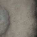 El cooksnap de /María Vergara Olea cuando hizo Flan de calabaza en olla express.