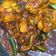 Cooksnap Wan Nor Amiyra Wan Husin semasa beliau membuat Ayam Kam Heong (versi berkuah).
