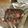 hcknw12's cooksnap of when they made Pork Rib Rub.