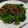 潘俊霖的(簡單料理) 的 丁香炒山蘇 cooksnap