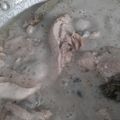 Cooksnap dari Ayu Kartika untuk resep Ayam Gulai Korma