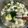 Cooksnap dari Newbie.Cooking untuk resep Sayur sop baso bumbu tumis