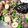 รูป Cooksnap ของ TAAM SiAMFOCUS เมื่อเขาทำ สะตอผัดกะปิหมูสับ