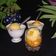 Riddhi Dholakia's cooksnap of when they made મેંગો આઈસ્ક્રીમ (Mango Icecream Recipe In Gujarati).
