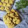 Cooksnap dari Ika Mahendra Moenif untuk resep Oatmeal Cookies (No Mixer)