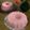 Cooksnap dari Rizky Maria Puspita Girsang untuk resep Strawberry Pudding