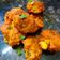 Munvi का कुकस्नैप जब उन्होंने कॉर्न पकोड़ा (corn pakoda recipe in Hindi) बनाया था।