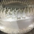 El cooksnap de vanessa cuando hizo Merengue Italiano para decorar.
