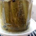 Sás Marcsi Cooksnap-ja, amikor elkészítette a(z) Kovászos uborka receptet.
