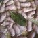 La cooksnap de Rosana Monzón Cano cuando cocinó Salchichas al ajillo