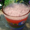 Khalida Misbah's cooksnap of when they made False na juice | false ka sharbat.