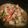 Rico's cooksnap of when they made Slow Cooker Chicken Stew.