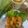 Cooksnap dari Wa Rahma untuk resep Combro