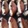 Cooksnap dari Etha Margaretha untuk resep Pukis EMPUK MENUL TANPA MIXER TANPA SP ekonomis 1 TELUR
