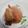 El cooksnap de Alicia Hernandez Avalos cuando hizo Calabacitas rellenas de queso.