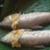 Cooksnap dari Titis Ajeng untuk resep Bandeng Otak Otak khas Gresik
