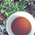 صورة من طيف، شاركها بعد تجربة وصفة القهوه الفرنسيه على طريقتي 💜