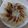 Cooksnap dari Artika untuk resep Gyoza Bersayap Hanesuki Winged Instan