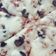 صورة من Ness Reen ، شاركها بعد تجربة وصفة بيتزا 🍕 sabreno