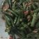 Cooksnap dari Puput Violet untuk resep Tumis Kacang Panjang Sambal Terasi