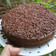 Cooksnap dari Niswah Ar Rohmah untuk resep Brownies kukus chocolatos tanpa mixer,tanpa oven, takaran sendok