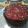 El cooksnap de Betsabé Irene Valor Cásseres cuando hizo Torta húmeda de chocolate.