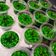 Cooksnap dari Dinne Agustina untuk resep Puding Lumut Pandan Mentega