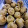 Jigisha Patel's cooksnap of when they made બટેકા વડા (Bateka Vada Recipe In Gujarati).