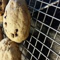 brighteyesxluv's cooksnap of when they made Vickys Chocolate Chip Cookies, GF DF EF SF NF.