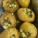 Gauri Kotak का कुकस्नैप जब उन्होंने चटपटी पानी पूरी (chatpati pani puri recipe in Hindi) बनाया था।