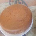 Maria Musumbi's cooksnap of when they made Vanilla sponge cake.