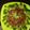Cooksnap dari ika untuk resep Beef Teriyaki